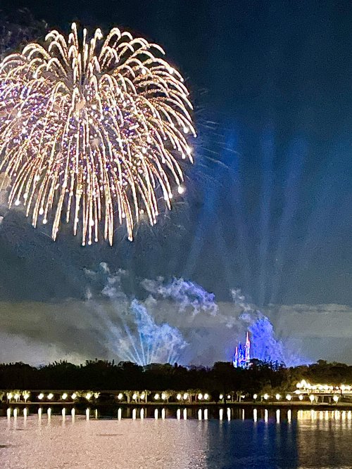 Travel-Diaries-Disney-World-Recap-Top-10-Disney-Recommendations HartDesignCo