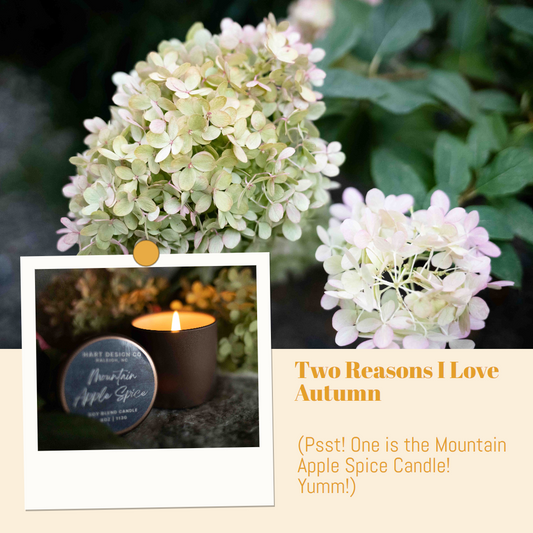 Two-Reasons-that-I-Love-Autumn-Psst-One-is-the-Mountain-Apple-Spice-Candle-Yumm HartDesignCo