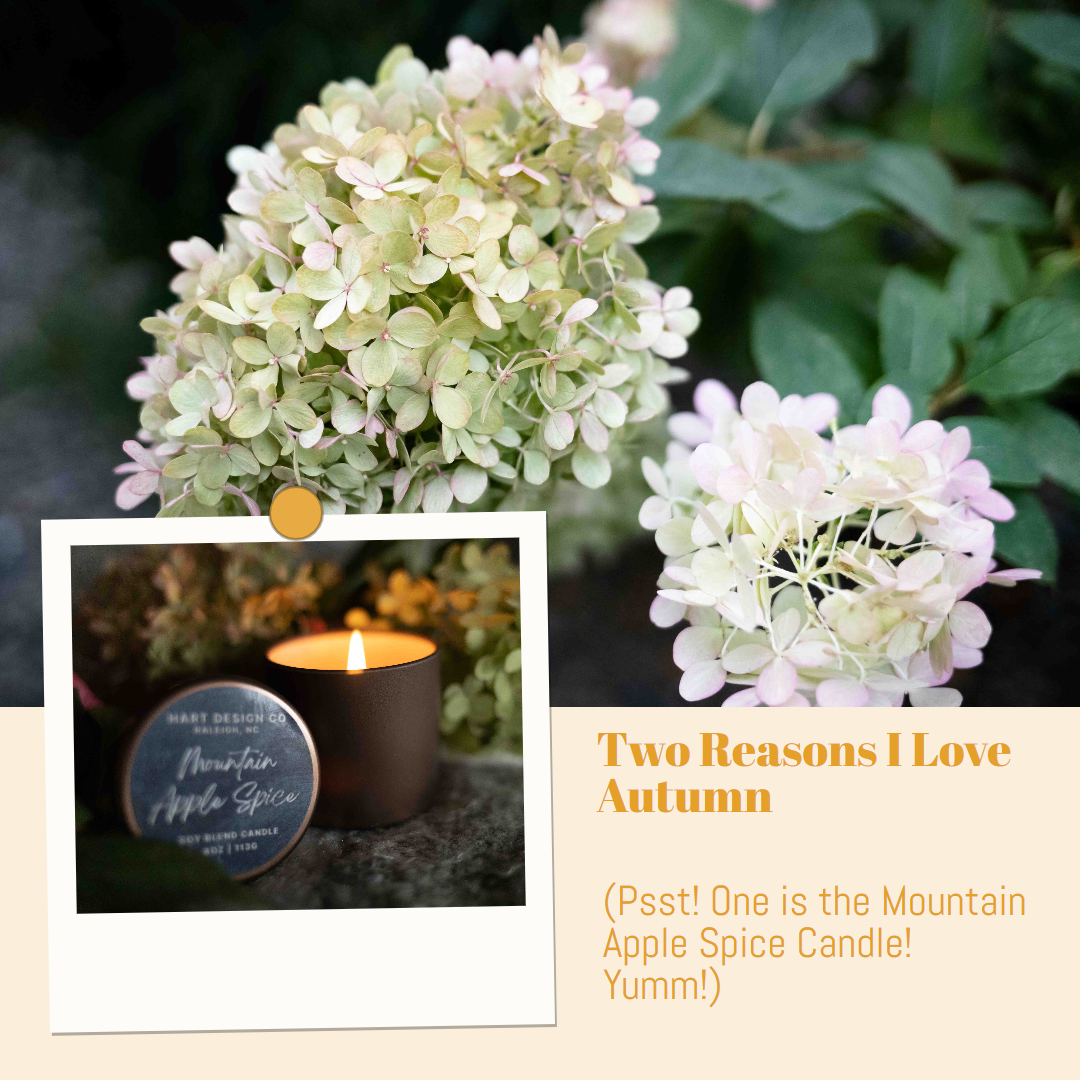 Two Reasons that I Love Autumn! (Psst - One is the Mountain Apple Spice Candle! Yumm!)